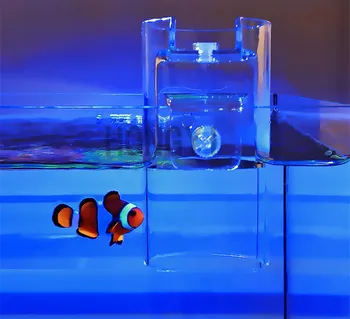 HONGYI 1 kus akrylové akvárium kŕmenie kruhu akvárium krmivo pre ryby feeder ryby miska na kŕmenie krúžok vysokej kvality
