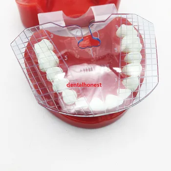 1pcs zubné laboratórium zubnej sprievodca doska zuby usporiadanie na protézy nástroje, zubné dodanie zub