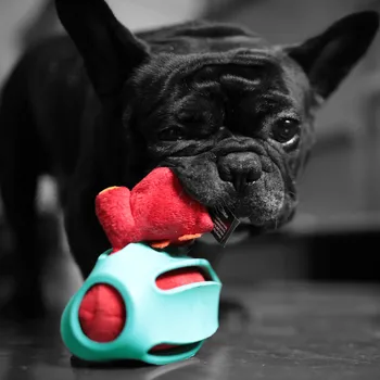 Psie Hračky pre Malé Psy Interaktívne Plyšové Vŕzgať Zvuk, Mäkké Fidget Hračky Žuť Zábavné Šteňa Žuť Školenia Hračky domáce zvieratá Produkt