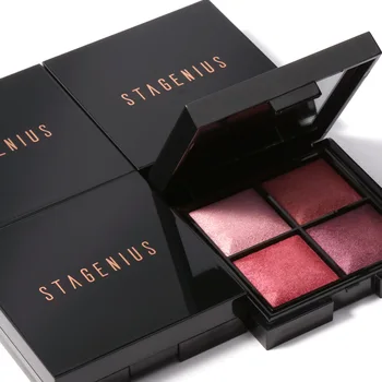 STAGENIUS 4 farby Lesk Eyeshadow Prirodzené Profesionálne High Pigment Dlhotrvajúci Očný Tieň Paletu Nový Rok Očný make-up