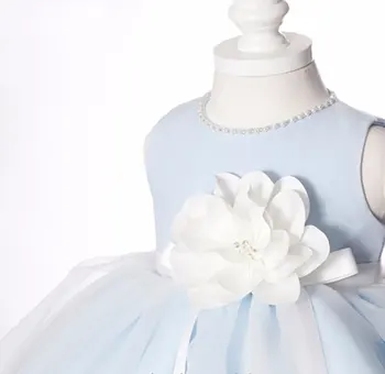 Modrá Krst kvetinové Dievčatá zdobiť Vianočné Pearl Krku Pás Dievča Princezná šaty pre Dieťa Dievča, 1. Narodeniny, Party Šaty frock
