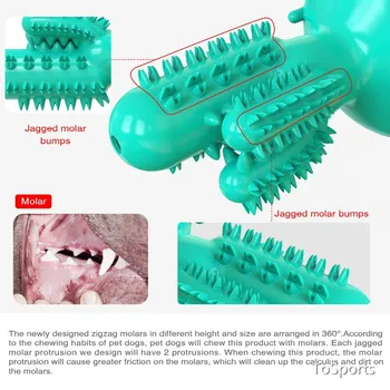 Domáce Zvieratá Psa Kaktus Multifunkčné Molekulová Čistenie Stick Skus Čistiť Zuby Žuvacie Žuť Vokálne Psa Kefka Hračky