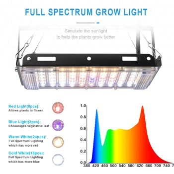 Rastú Stan celé Spektrum LED Rásť Svetlo 3500K Teplá Biela 5500K Studená Biela S Červeným A Modrým Led Pestovať Indoor Phyto Lampa Pre Rastlín