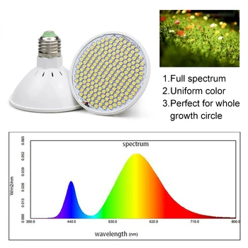 LED Phyto Žiarovka E27 Plný Spectrum200/290 LED Rásť Svetlo AC100-277V Horticole Pre Vnútorné Sadenice, ktoré kvety Rastú Stan Box