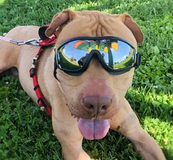 Pet Okuliare Pes Dodáva Okuliare Nepremokavé Windproof ochranu proti slnečnému žiareniu UV Ochranu Veľký Pes Okuliare Pet Príslušenstvo Psa slnečné Okuliare